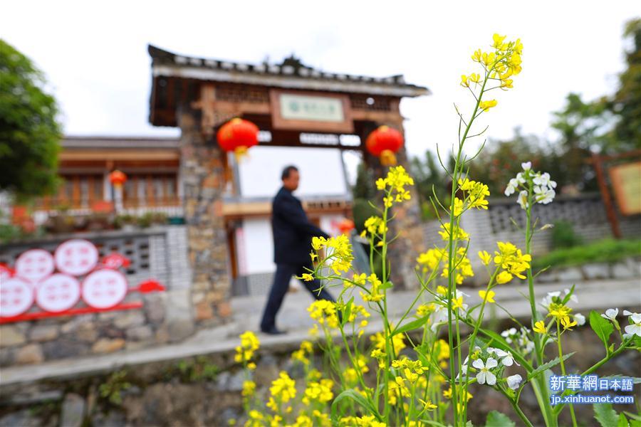 （脱贫攻坚）（3）黔北农村面貌新