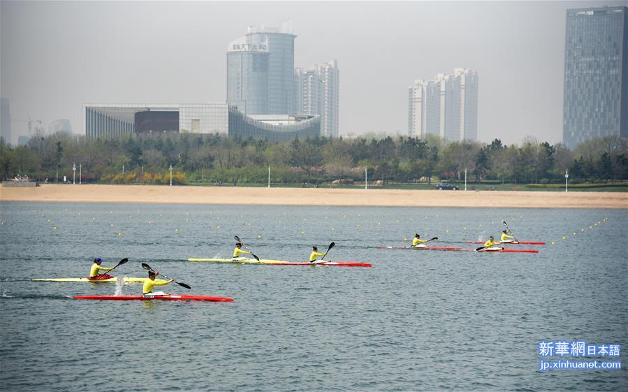 （体育）（13）中国赛艇队、皮划艇队转场日照备战奥运