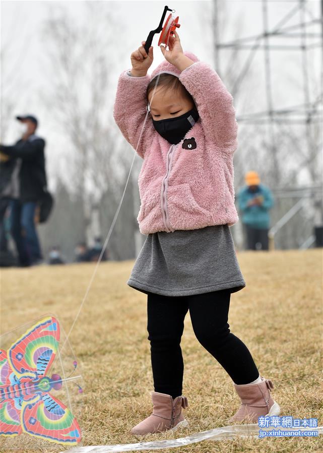 （体育）（3）全民健身——公园里的风筝秀