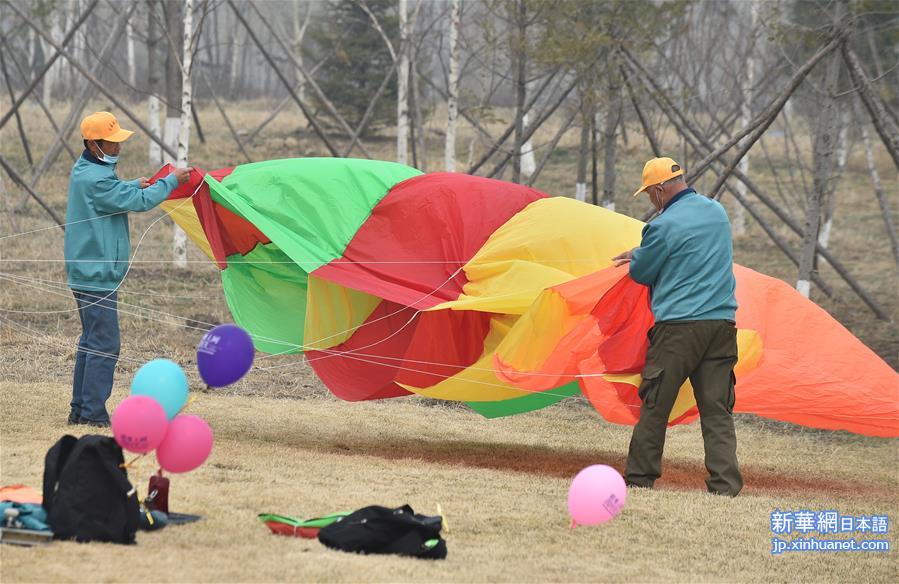 （体育）（10）全民健身——公园里的风筝秀
