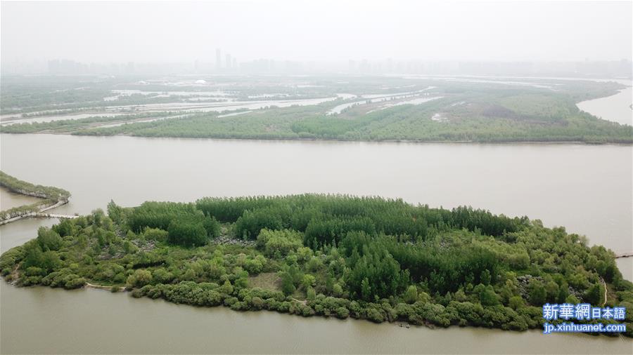 （环境）（2）哈尔滨：湿地展画卷