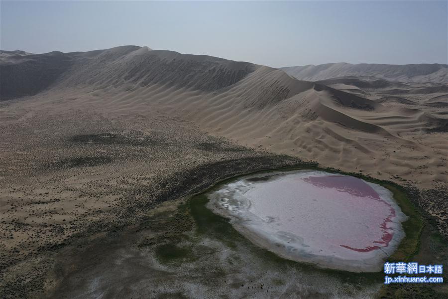 （新华视界）（1）沙漠中的“粉红湖”
