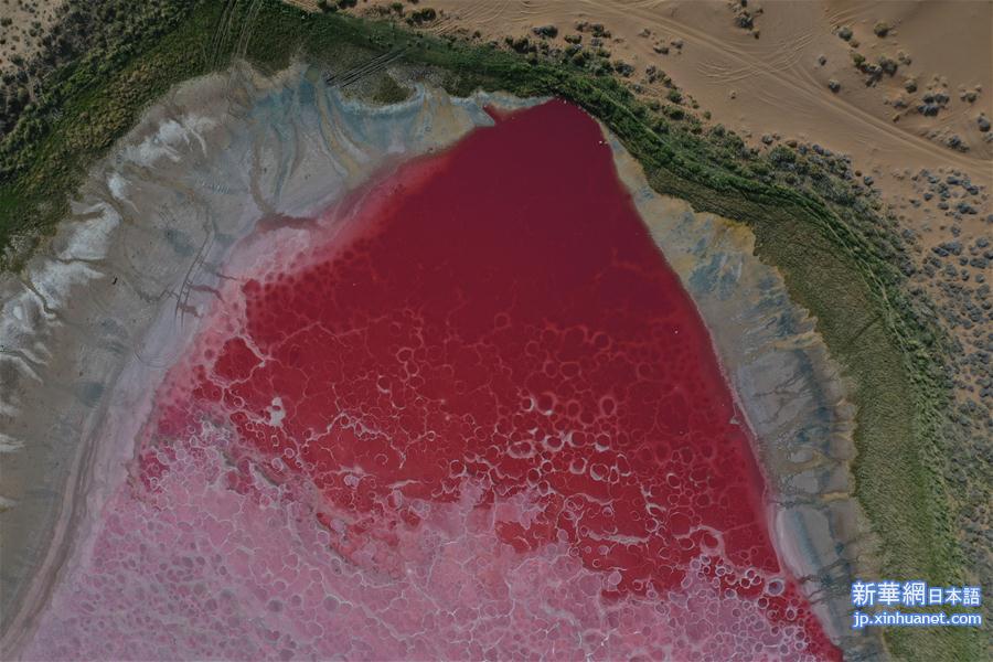 （新华视界）（2）沙漠中的“粉红湖”