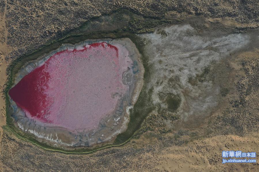 （新华视界）（6）沙漠中的“粉红湖”