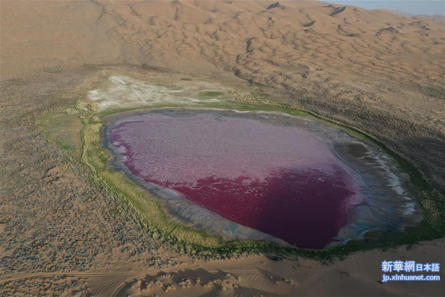 （新华视界）（8）沙漠中的“粉红湖”