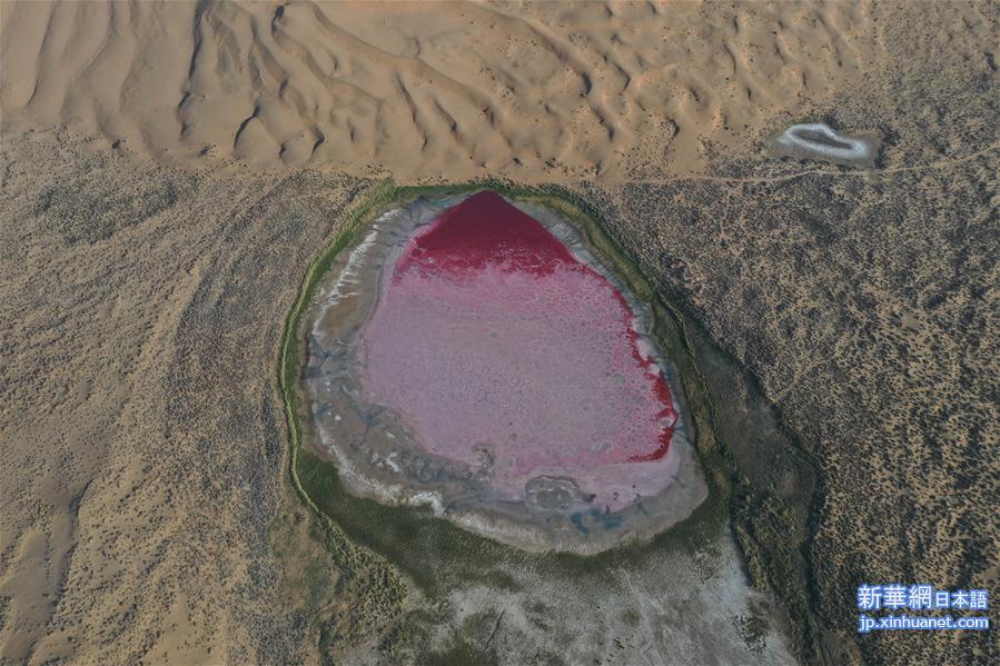 （新华视界）（11）沙漠中的“粉红湖”