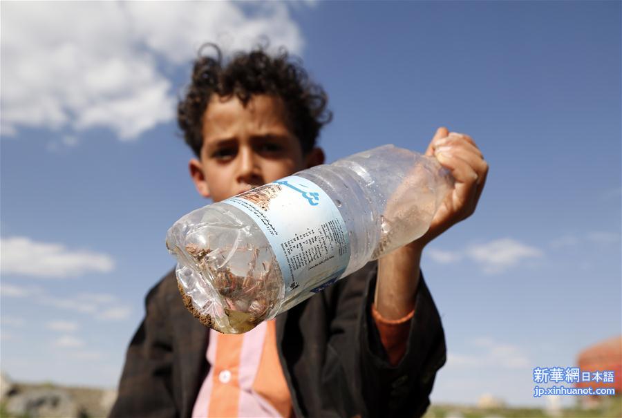 （国际）（2）也门遭蝗灾侵袭