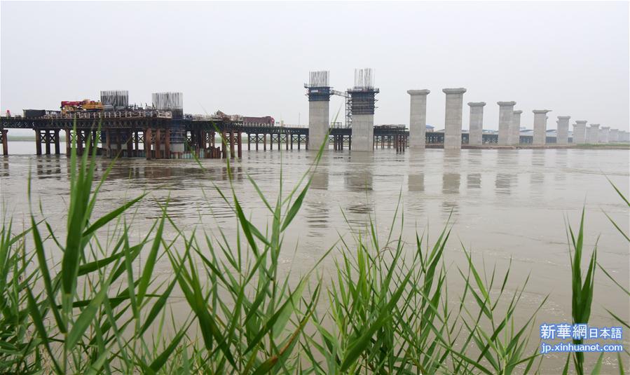（聚焦复工复产）（2）国道207孟州黄河大桥加紧建设