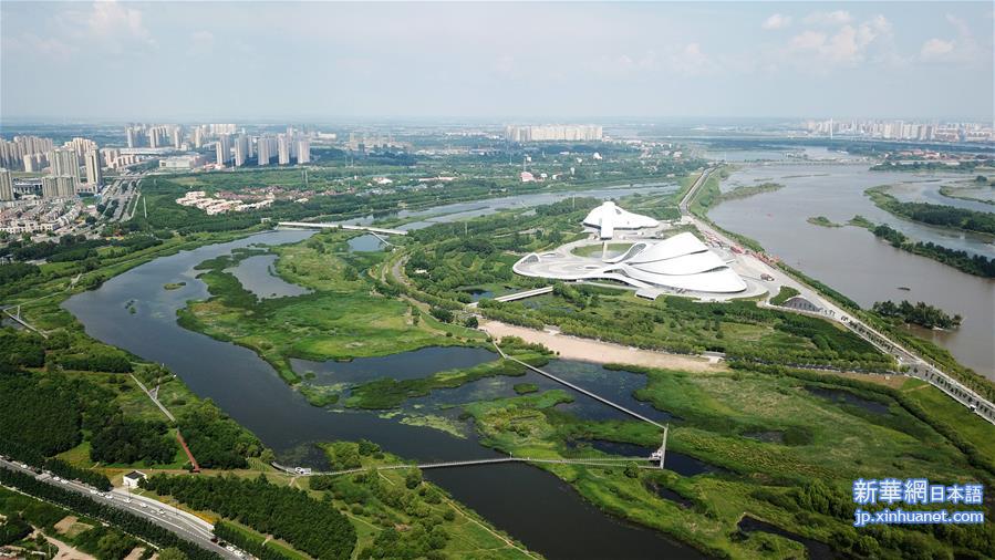 （环境）（1）黑龙江：湿地与城市和谐共生