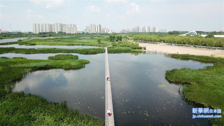 （环境）（3）黑龙江：湿地与城市和谐共生