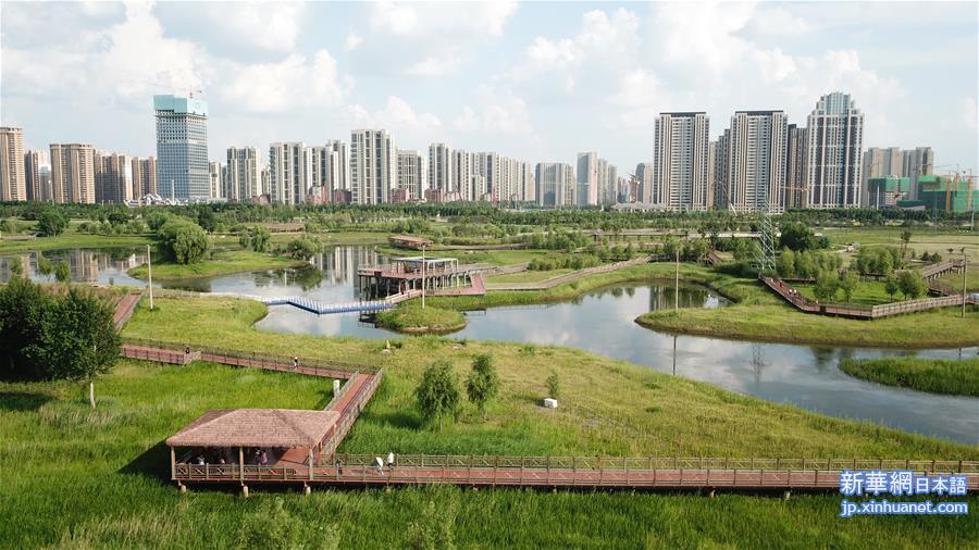 （环境）（4）黑龙江：湿地与城市和谐共生