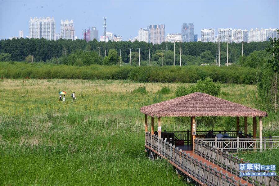 （环境）（5）黑龙江：湿地与城市和谐共生