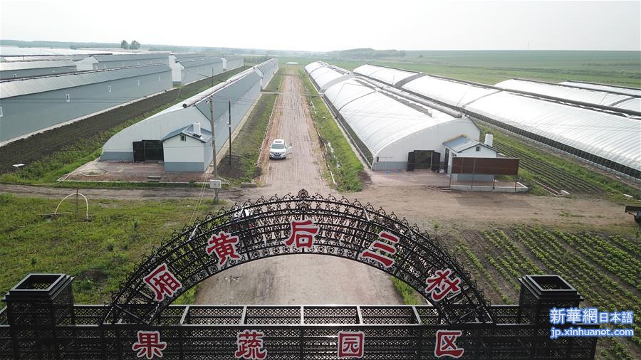 （脱贫攻坚）（2）黑龙江望奎：果蔬园区助农脱贫增收