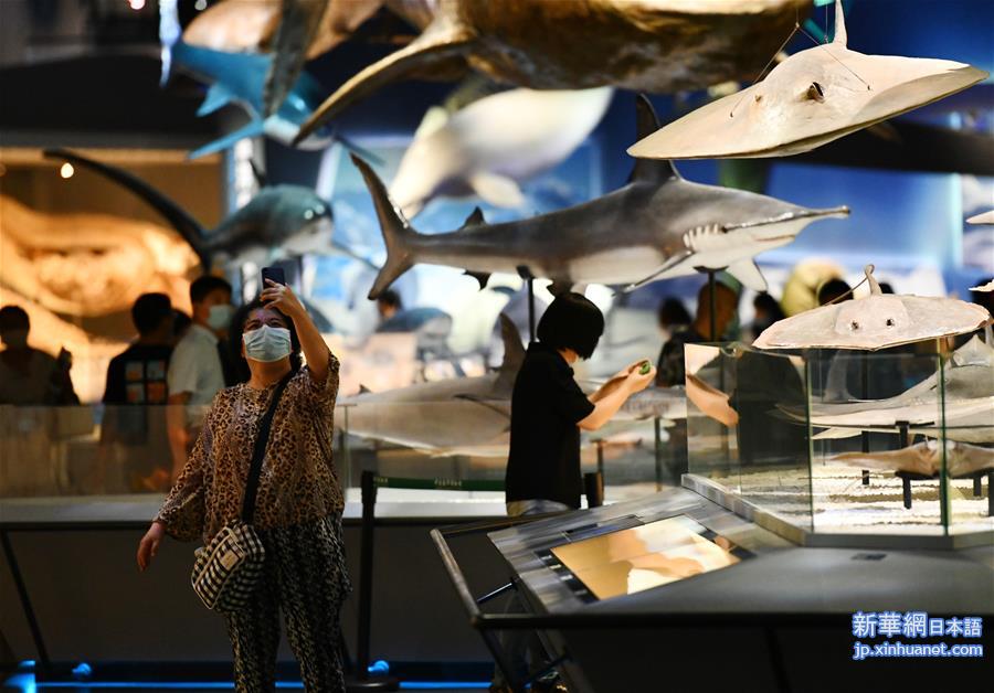 （新华视界）（2）国家海洋博物馆恢复开放