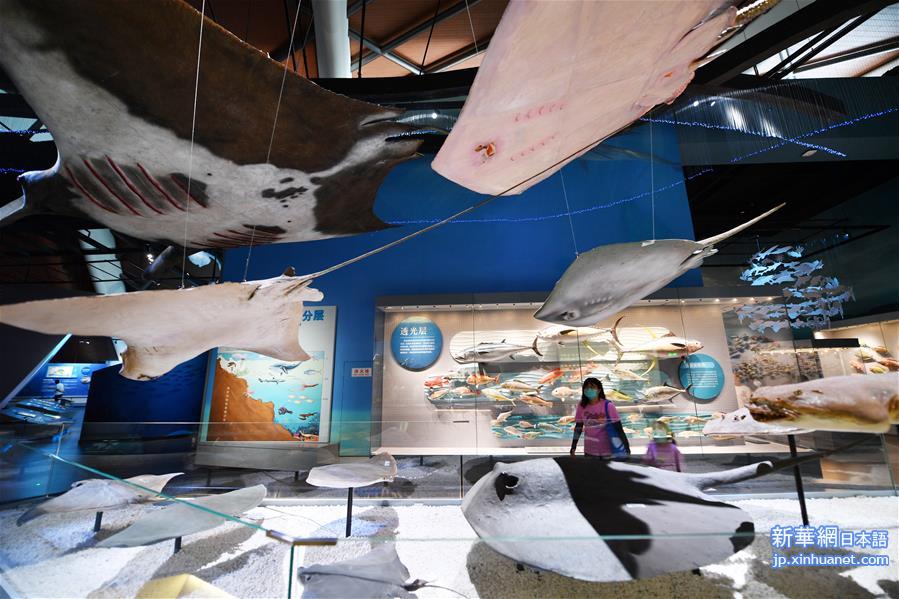 （新华视界）（3）国家海洋博物馆恢复开放