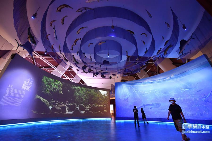 （新华视界）（6）国家海洋博物馆恢复开放