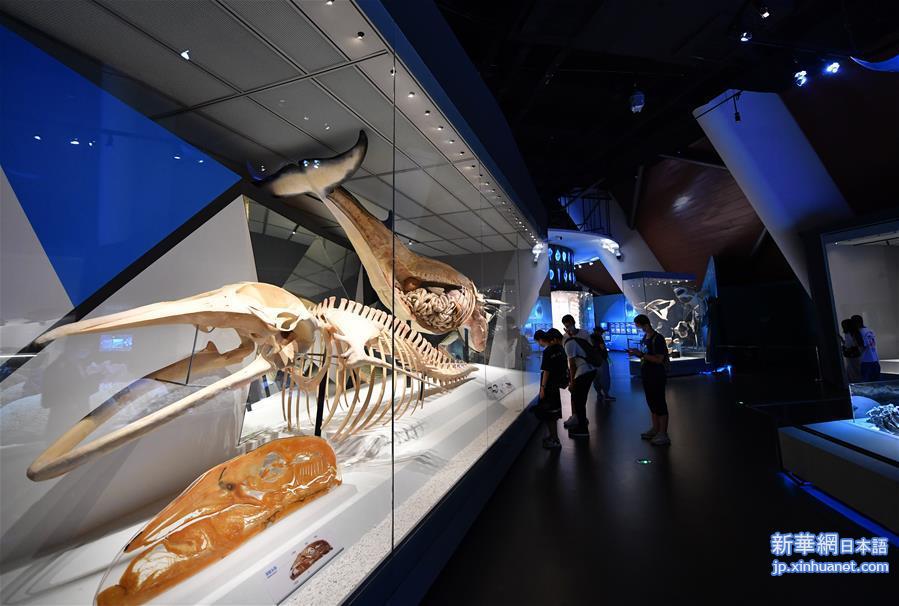 （新华视界）（7）国家海洋博物馆恢复开放