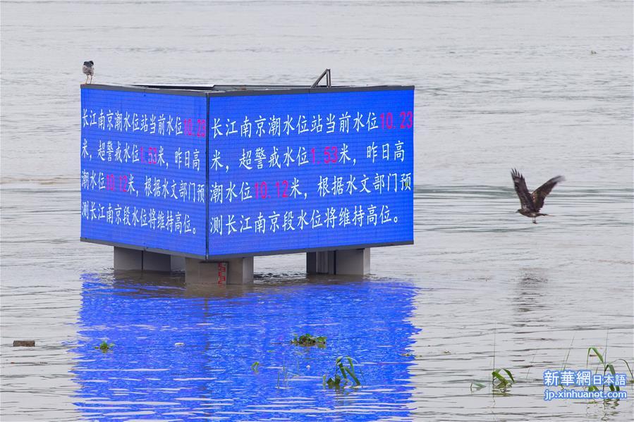 #（防汛抗洪）（3）江苏发布长江南京段洪水红色预警