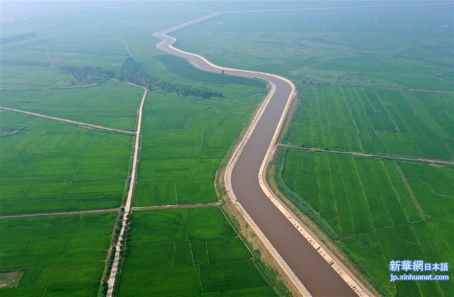 （经济）（1）吉林西部水稻长势良好
