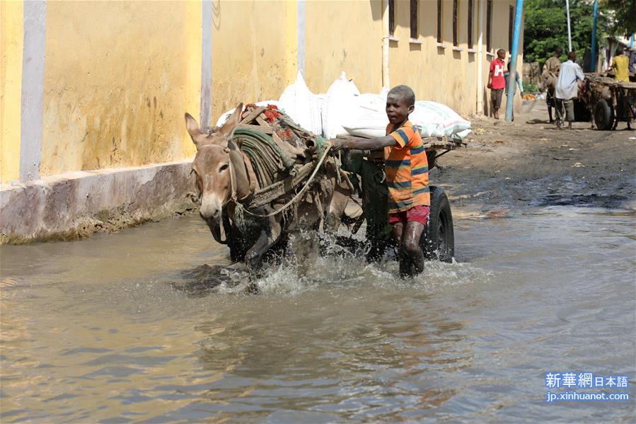 （国际）（2）联合国难民署呼吁国际社会援助索马里应对洪灾
