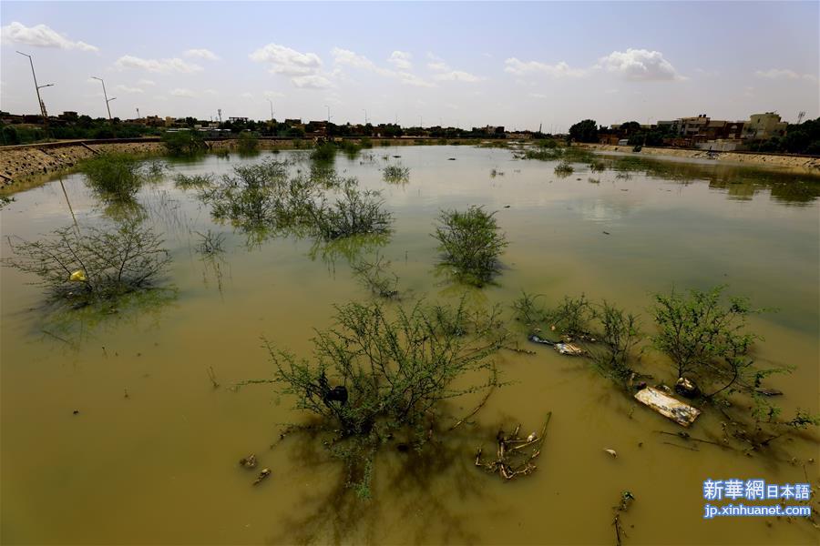 （新华视界）（1）苏丹：青尼罗河水位持续上涨