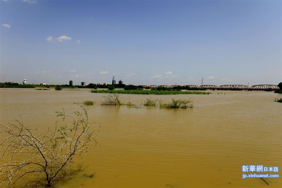 （新华视界）（3）苏丹：青尼罗河水位持续上涨