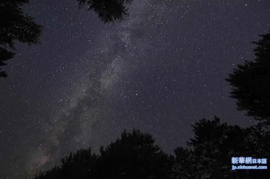 （新华视界）（1）“华夏东极”的星空