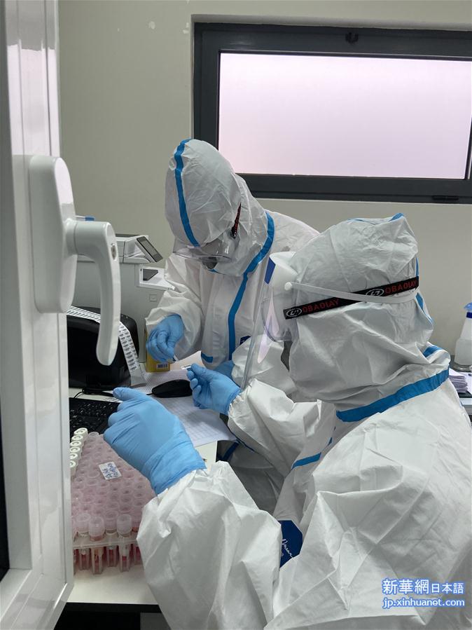 （国际疫情·图文互动）（4）华大基因承建 安哥拉“火眼”新冠检测实验室揭幕