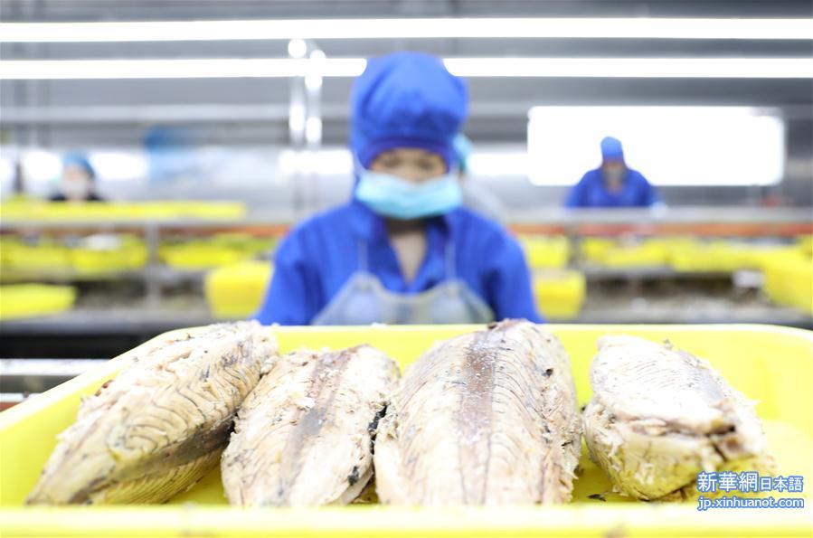 （落实“六稳”“六保”一线见闻）（5）辽宁东港：鱼产品加工生产平稳