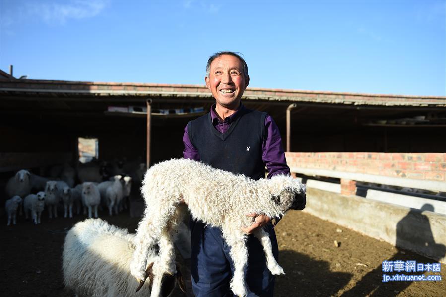 （五中全会精神在基层）（3）宁夏盐池：加速滩羊产业现代化转型
