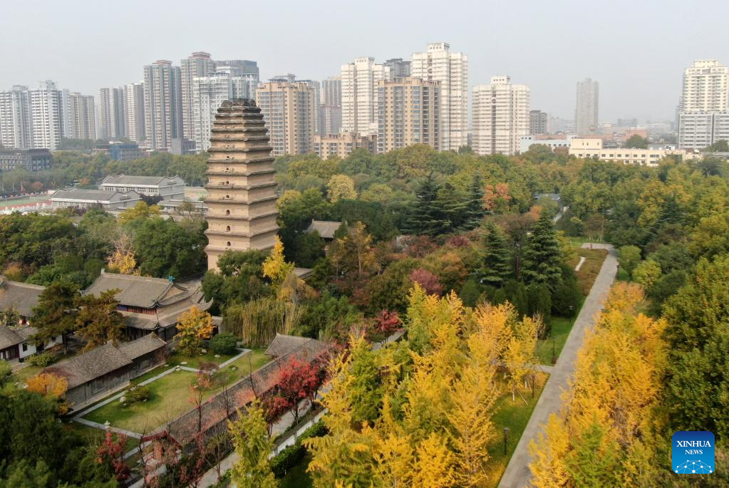 黄金色に染まる晩秋の古都 中国陝西省西安市