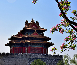 写真集：北京の紫禁城の春景色