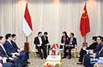 習近平主席がインドネシアのジョコ大統領と会見