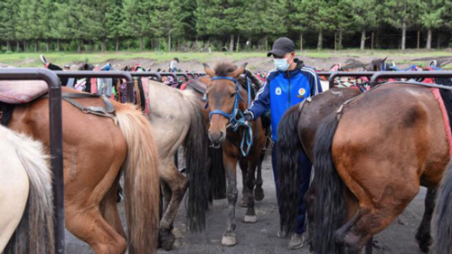 乗馬体験で貧困脱却を後押し　新疆ウイグル自治区