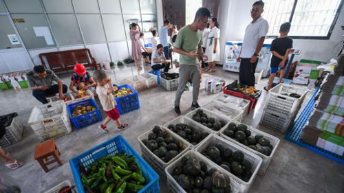 現代農業生態園が農村振興を後押し　浙江省東陽市
