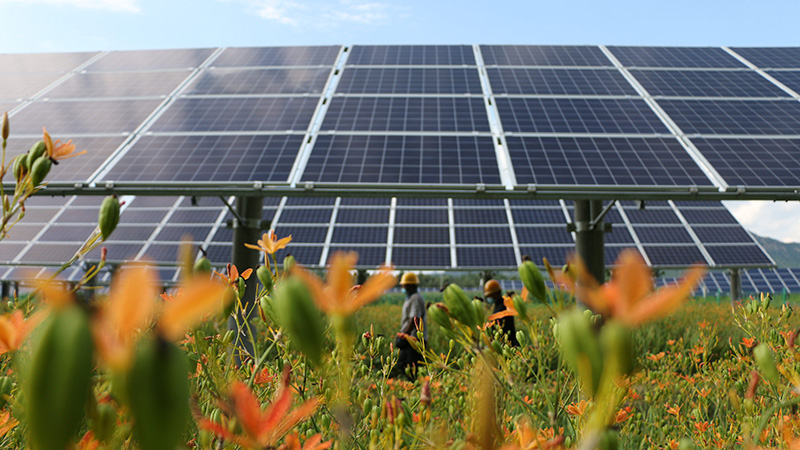 農業と太陽光発電、産業パークで共存共栄　河北省