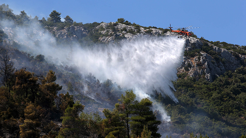 ギリシャ・アテネの一部地域で山火事続く