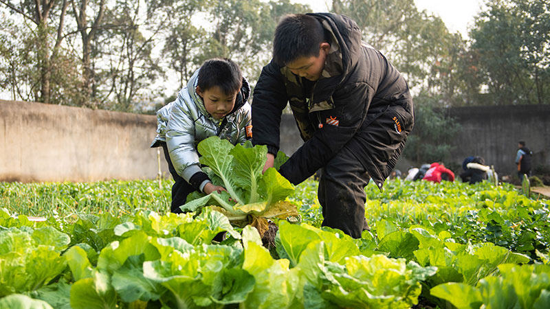 小学校の授業で土と親しむ農業体験　湖南省常徳市