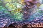 カムチャツカ半島　万華鏡のような虹色の氷の洞窟