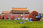 北京天安門広場で花壇が飾られて、メーデーを迎え