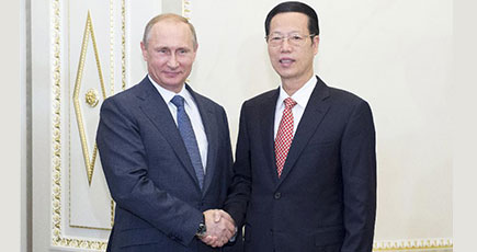張高麗副総理、ロシア大統領と会見