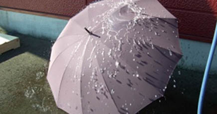 日本の傘専門店、「ぬれない傘」を発売 価格は3万円