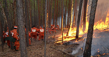 内蒙古大興安嶺で森林火災　４００人余が消火活動