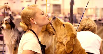 ヒューストンで「世界名犬展」が開催　1万匹の犬がメダルを争奪