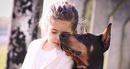 小さな少女と大きな犬　一人と一匹の世界　