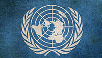 国連の概況