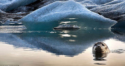 消えつつある美しさ　写真家がアイスランドの氷河を撮影