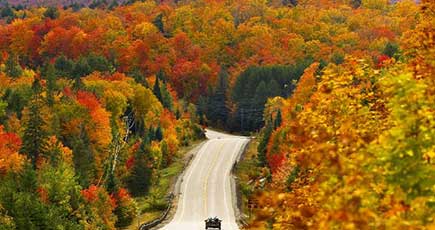 秋、美しい景色と共に旅行に行こう