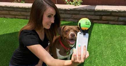 米国に犬の「自撮り神器」が登場　カメラ目線で撮影