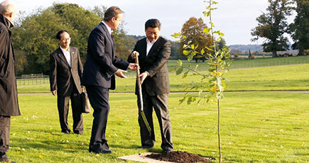 習近平主席がキャメロン英首相と共に友情の木を植え